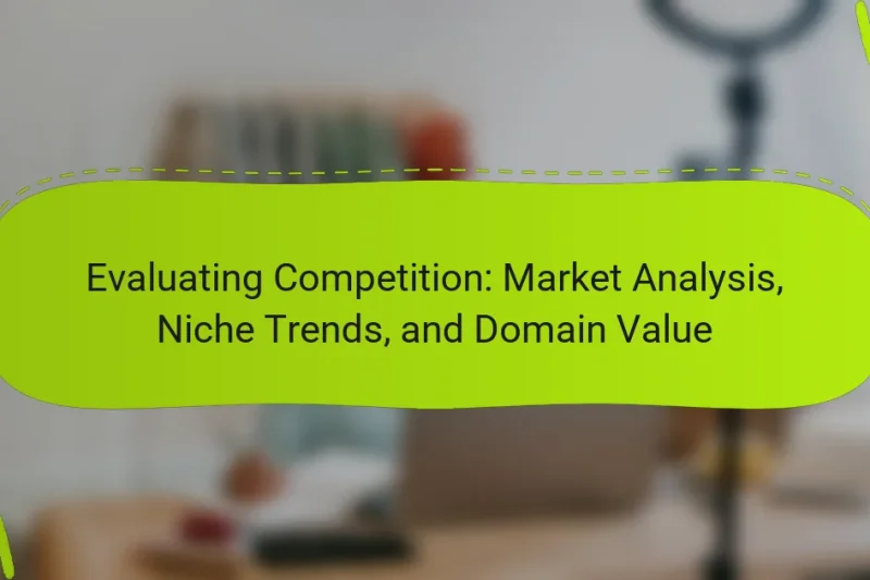 Evaluating Competition: Market Analysis, Niche Trends, and Domain Value