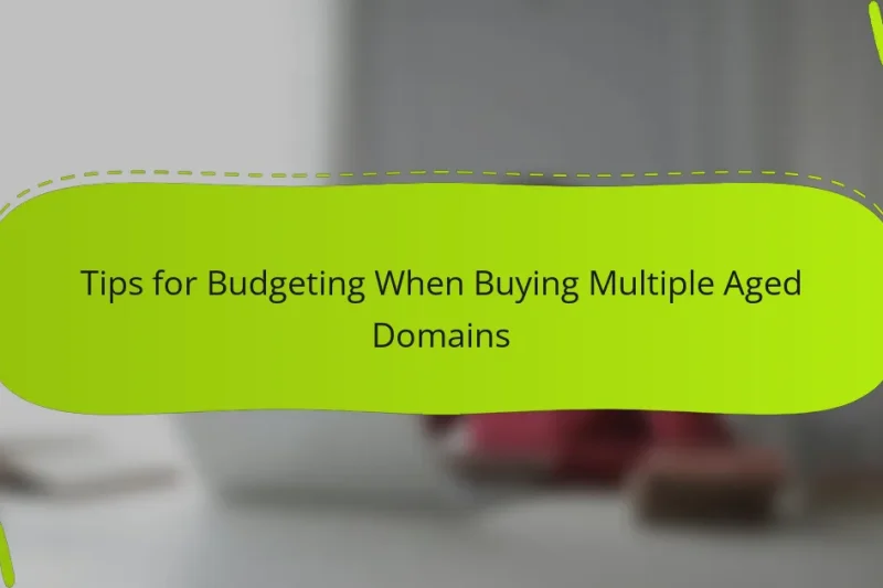 Tips for Budgeting When Buying Multiple Aged Domains