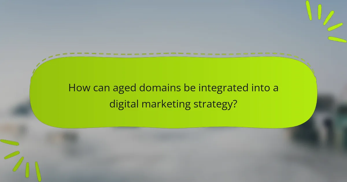 How can aged domains be integrated into a digital marketing strategy?
