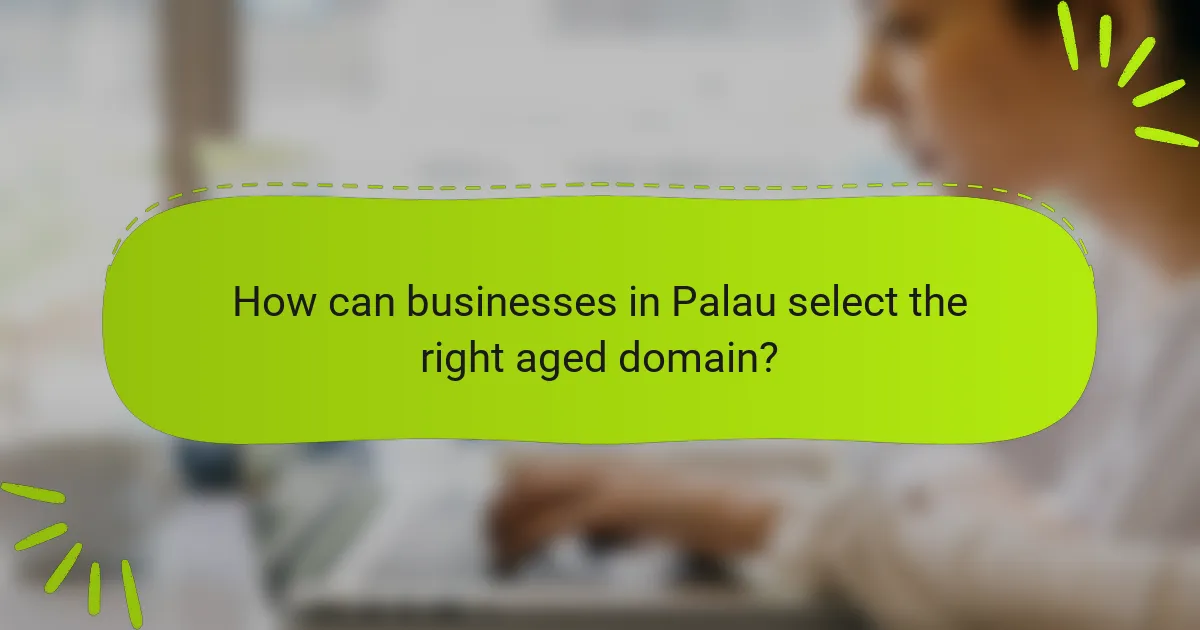 How can businesses in Palau select the right aged domain?