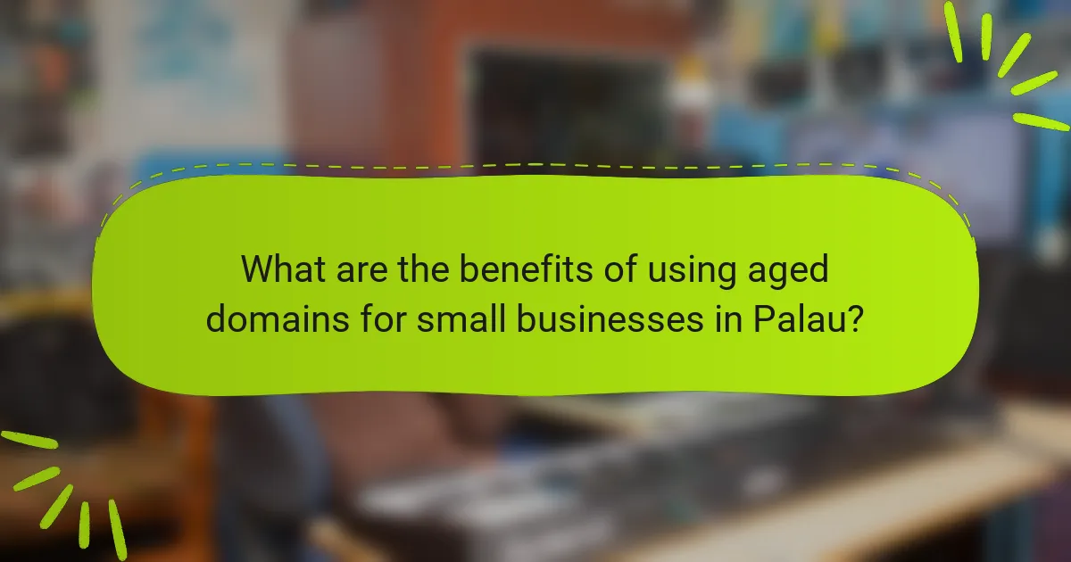 What are the benefits of using aged domains for small businesses in Palau?