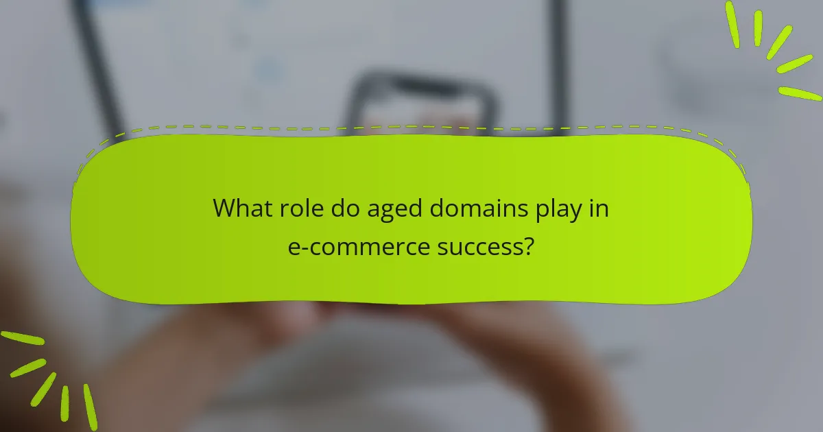 What role do aged domains play in e-commerce success?